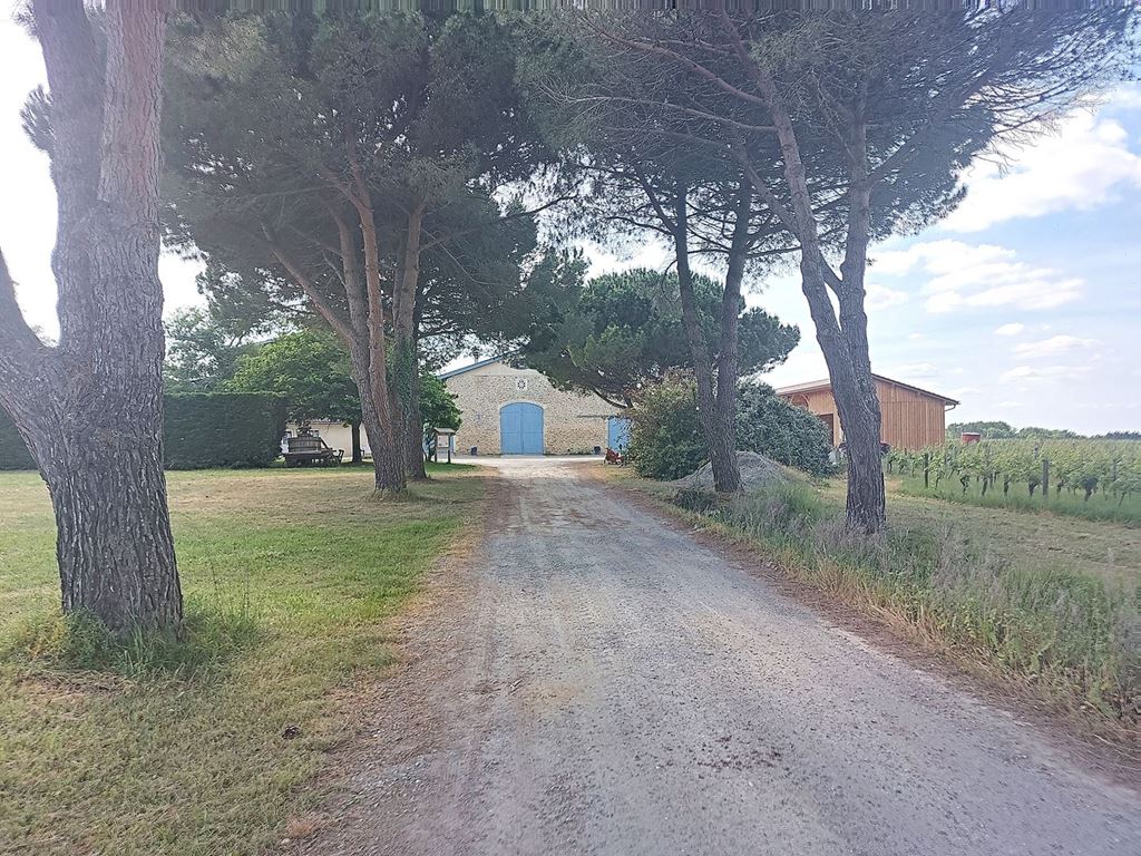 Entrepôt MAZERES (33210) BELLES PROPRIETES D'AQUITAINE