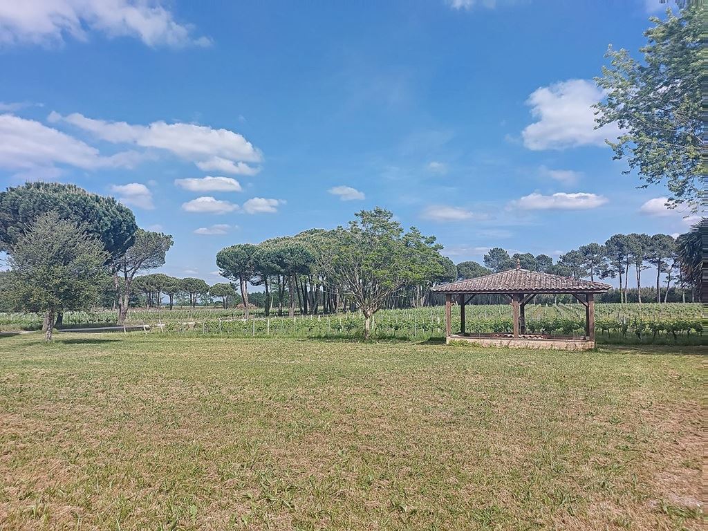 Entrepôt MAZERES (33210) BELLES PROPRIETES D'AQUITAINE