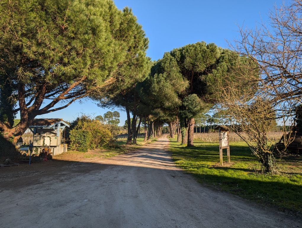 Entrepôt MAZERES (33210) BELLES PROPRIETES D'AQUITAINE